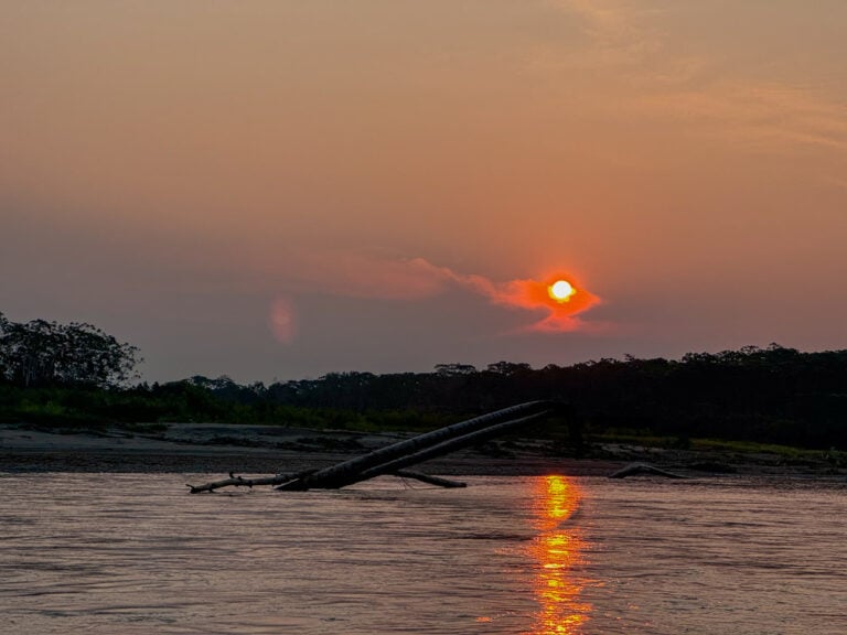 Reasons to choose Manu National Park in the Amazon Rainforest