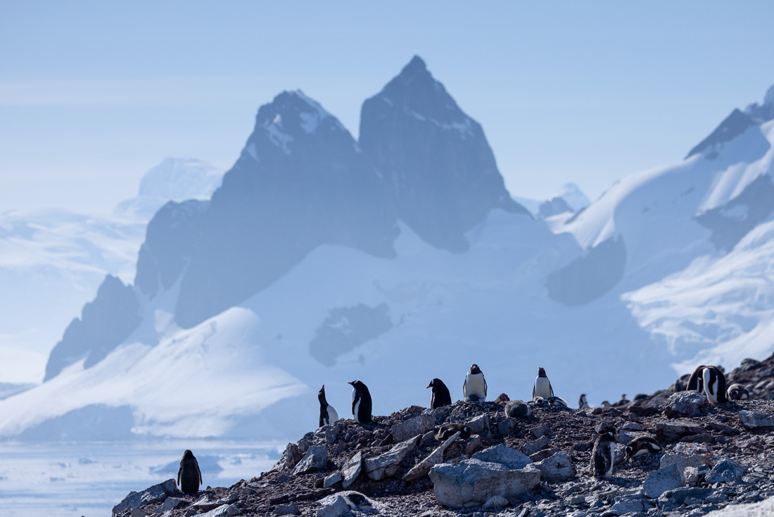 Antarctica is a photographer's dream