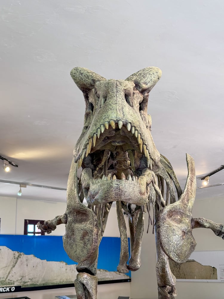 Visit the Cal Orck'o Dinosaur Footprints in Sucre, Bolivia 7 Inside the museum