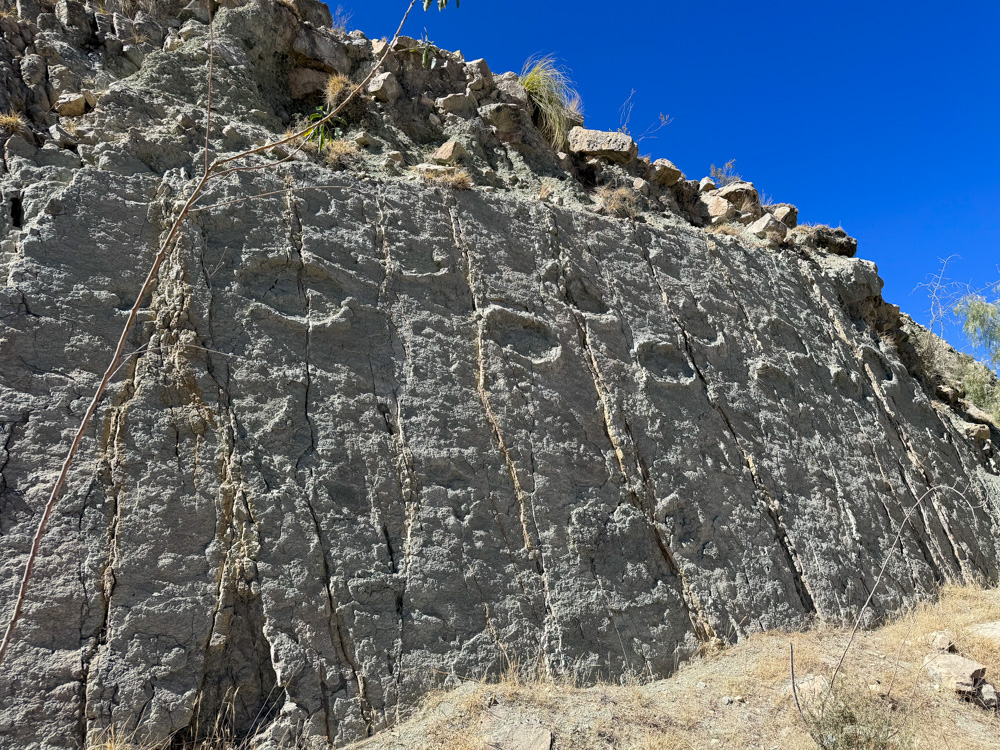 Dinosaur Footprints near Sucre