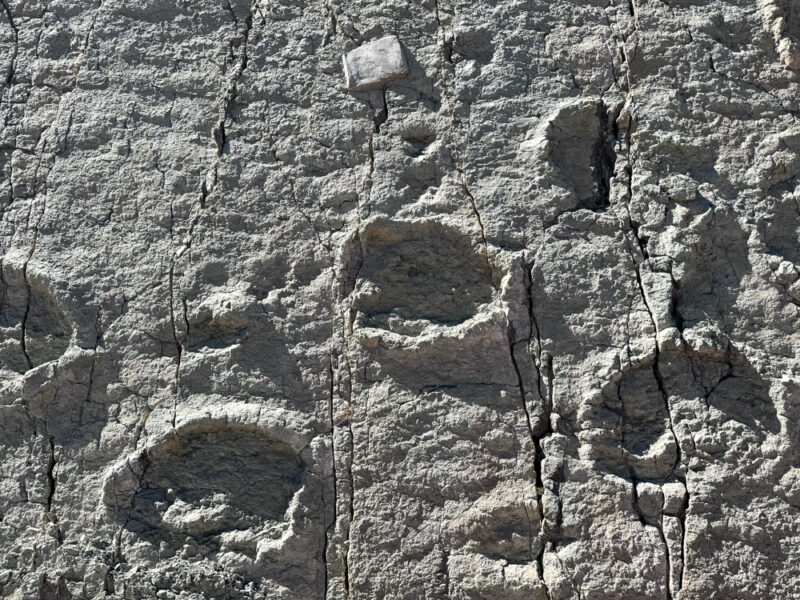 Visit the Cal Orck'o Dinosaur Footprints in Sucre, Bolivia
