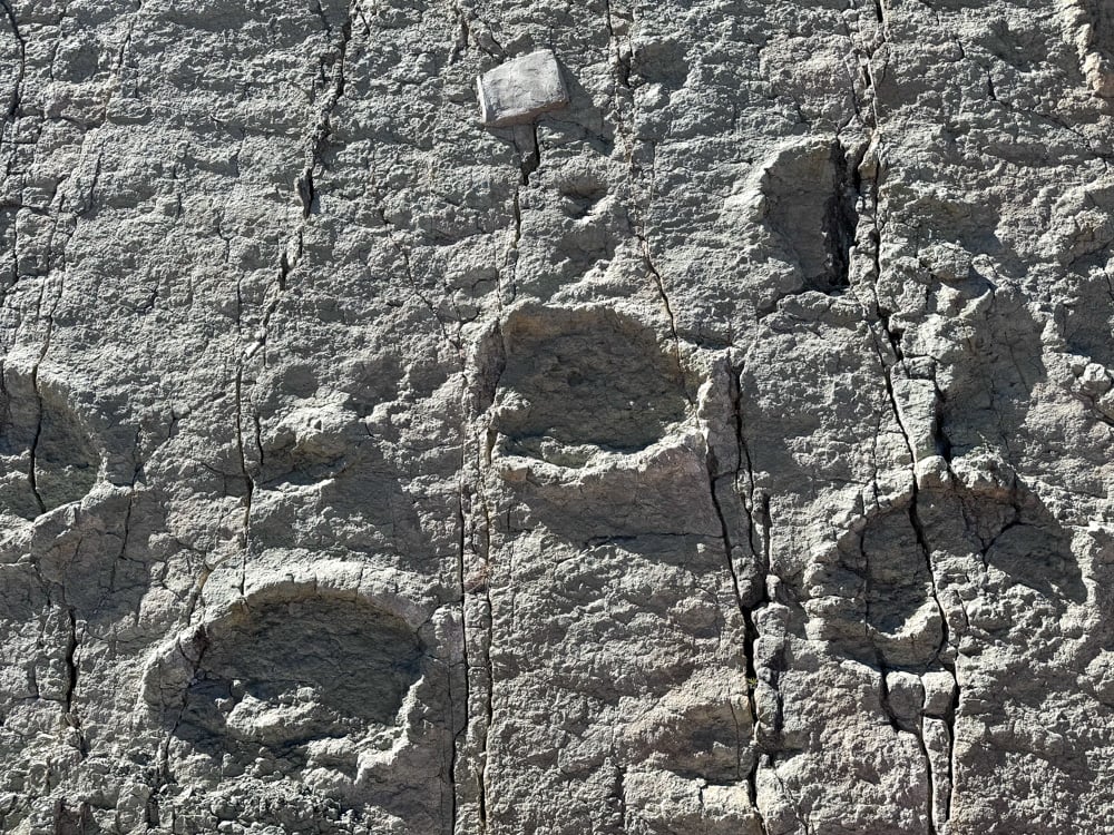 Visit the Cal Orck'o Dinosaur Footprints in Sucre, Bolivia 9 Dinosaur footprints up close