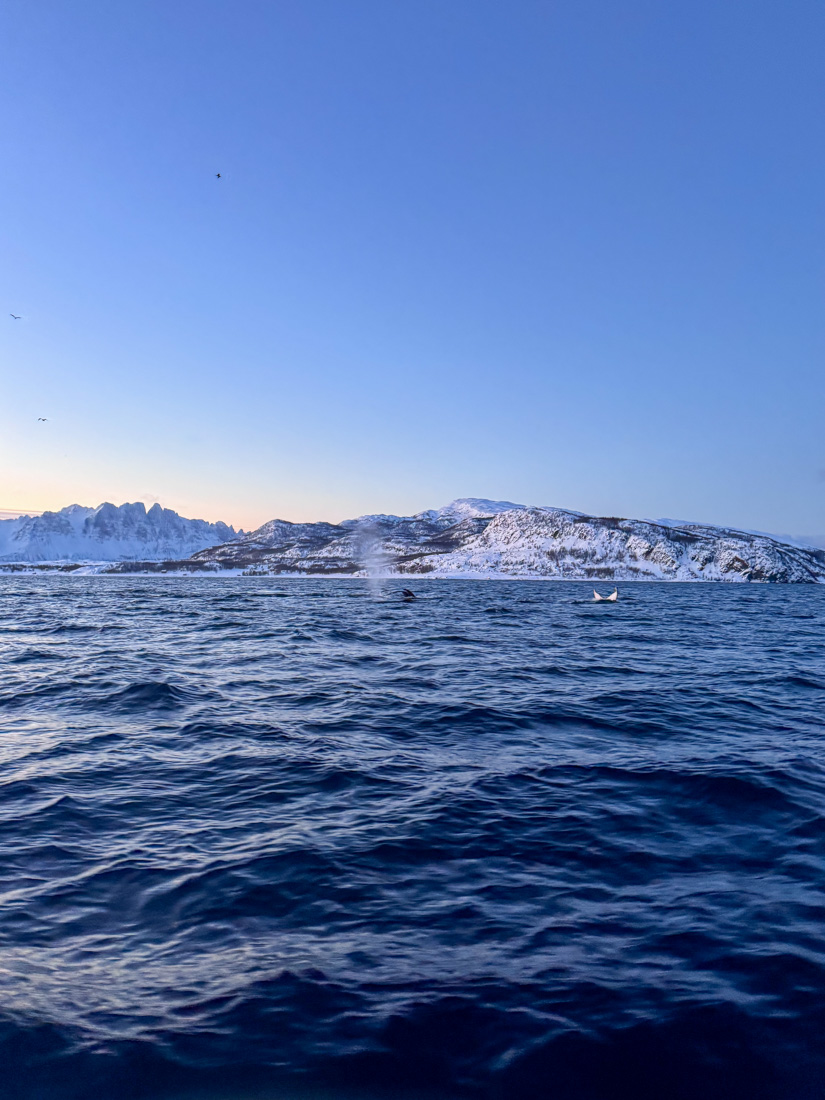 There are few daylight hours in Norway in winter. 