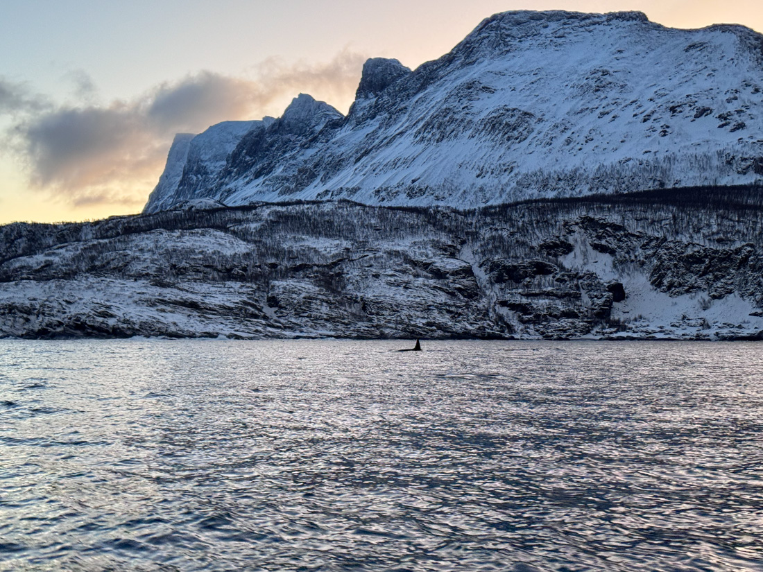 The Norwegian Fjords are a great place to visit in Norway in winter