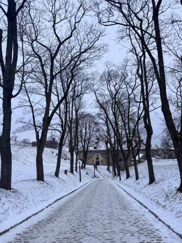 How to Spend One Day in Oslo: The Ultimate Itinerary 4 A free walking tour around Oslo is one of the best things to do in winter