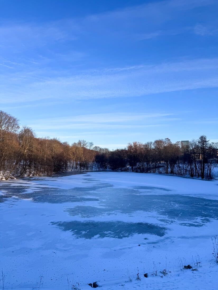 How to Spend One Day in Oslo: The Ultimate Itinerary 3 Frogner Park boasts an incredible winter landscape in Oslo