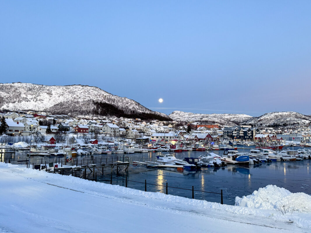 The harbour in Skjervoy