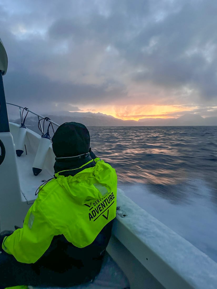 A Guide to Whale Watching in Tromso (+ Best Tours in 2025) 12 Heading out on a small boat whale watching tour