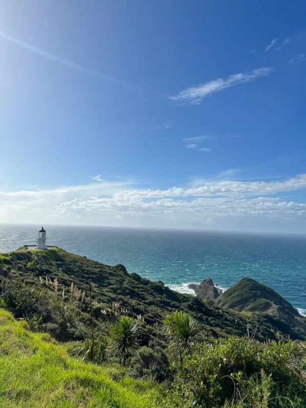 NZ Bucket List: 35 Truly Unique Things to Do in New Zealand 17 Cape Reinga is one of the most beautiful places in New Zealand