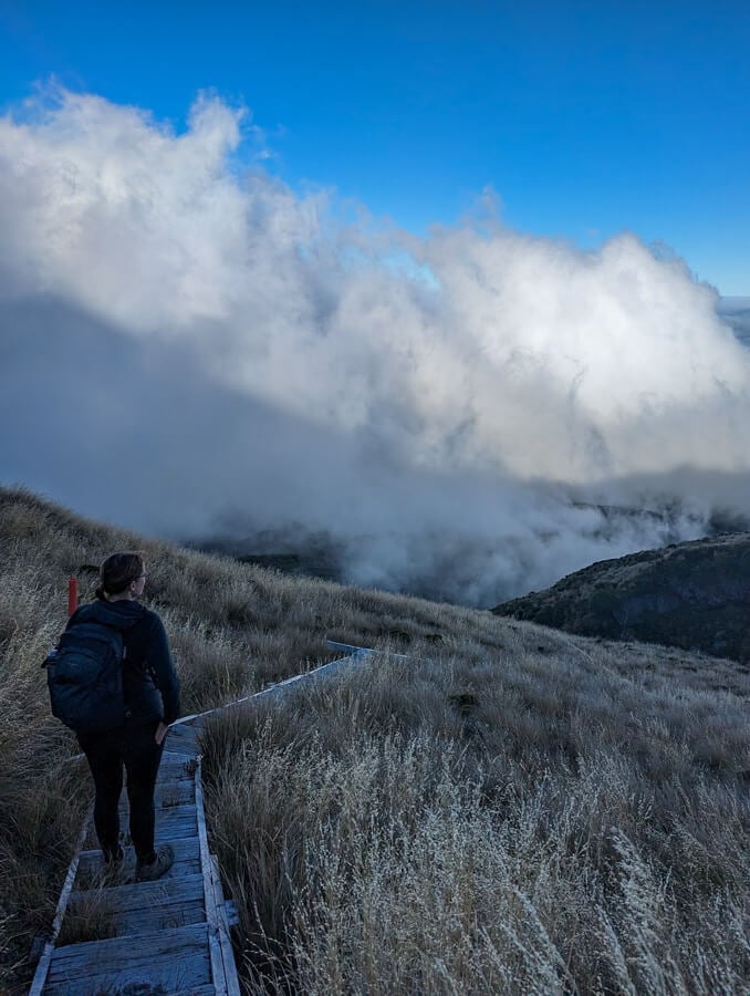 Mount Taranaki: A Guide to Hiking Fanthams Peak 6 There are some steps on the hike