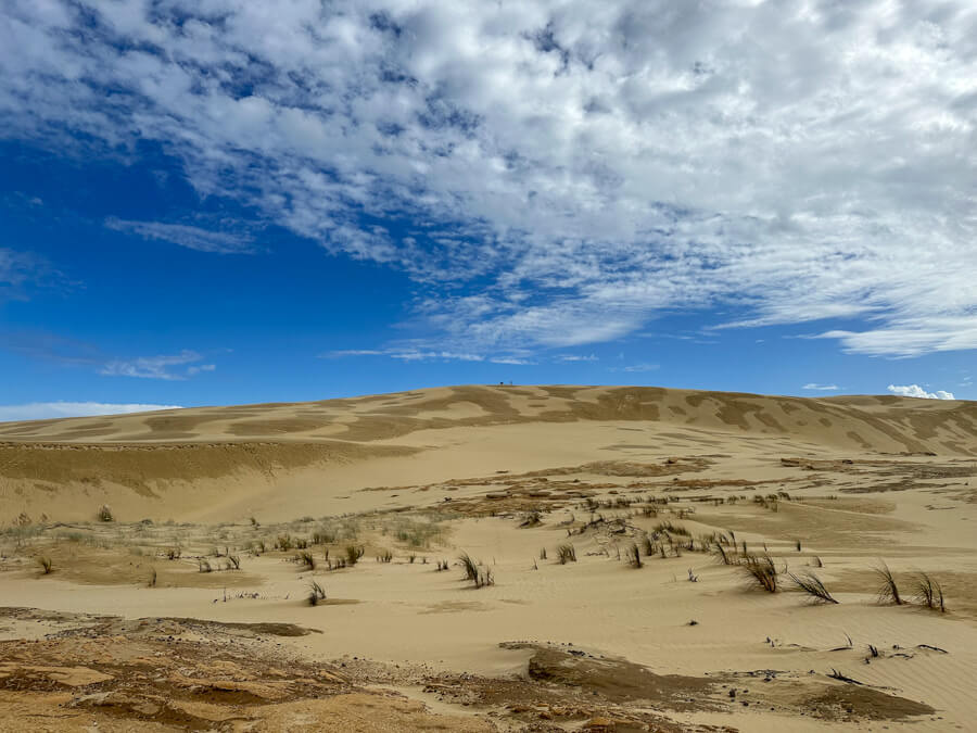 NZ Bucket List: 35 Truly Unique Things to Do in New Zealand 15 The Giant Sand Dunes in Northland are one of the most unique places in New Zealand
