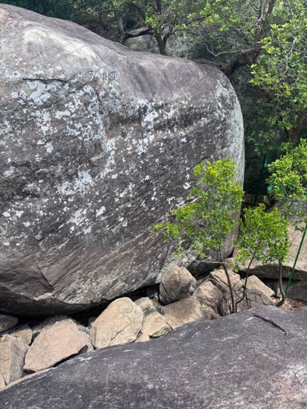 Pidurangala Rock: A Guide to One of Sri Lanka's Best Hikes 6 There is some scrambling involved on the way up Pidurangala Rock