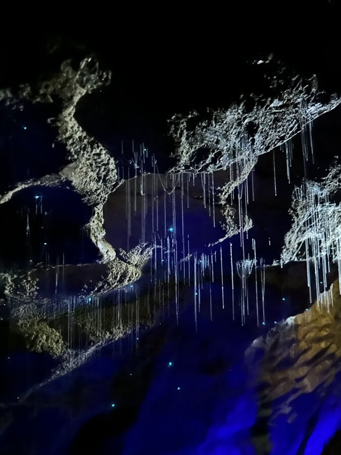 NZ Bucket List: 35 Truly Unique Things to Do in New Zealand 8 The Waitomo Glowworm caves are one of the best places to see glowworms in New Zealand