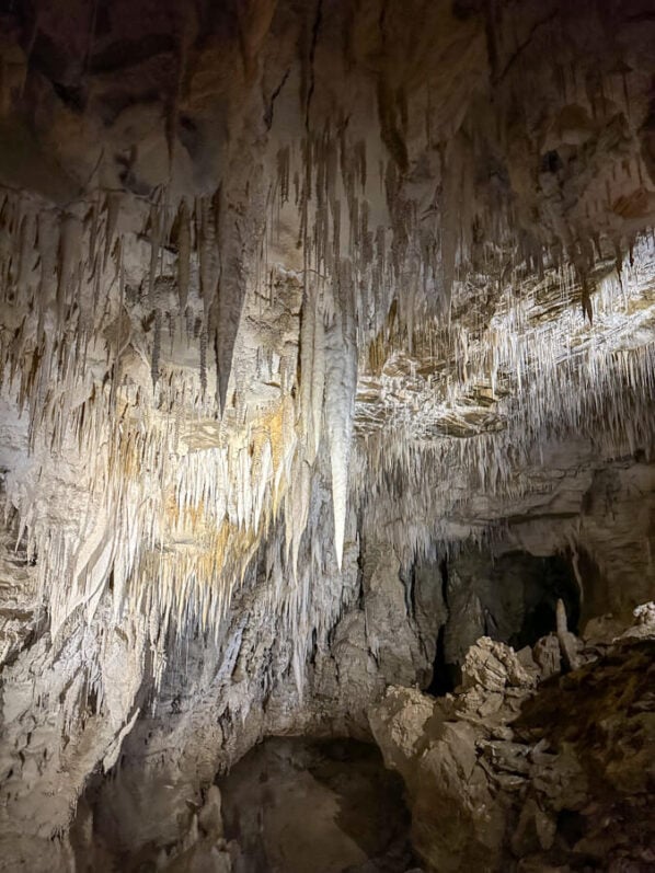 NZ Bucket List: 35 Truly Unique Things to Do in New Zealand 9 The Waitomo Glowworm caves are one of the best places to see glowworms in New Zealand