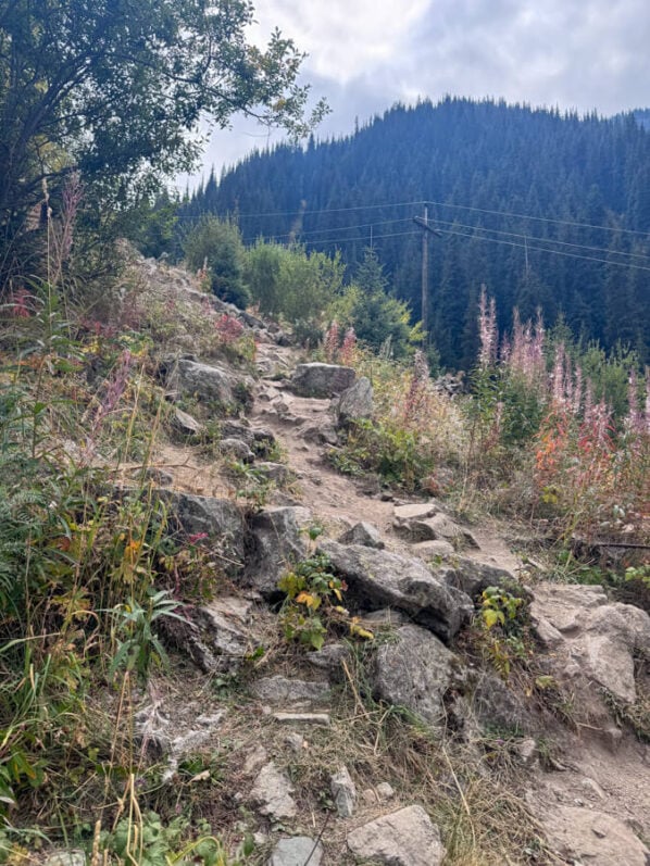 Big Almaty Lake Hike: All You Need to Know (2025 Guide) 5 You can hike alongside the pipe to reach Big Almaty Lake